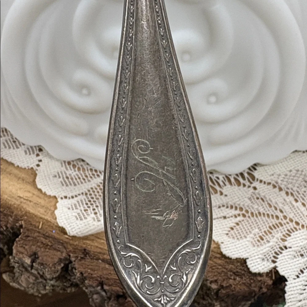 Elegant Silver Plate gravy Spoon Community Silver Co.